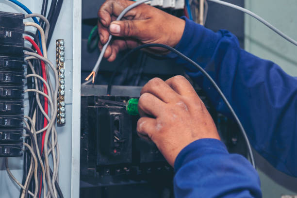 Best Electric Panel Repair  in Archer, FL